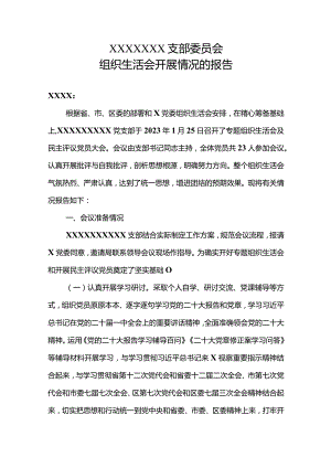支部组织生活会开展情况报告.docx