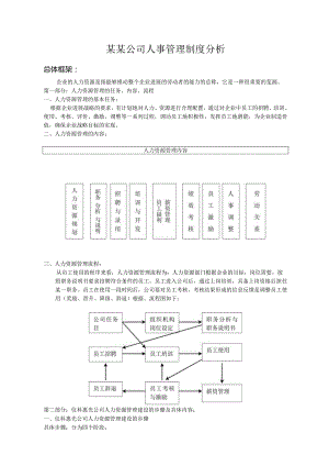 某某公司人事管理制度分析.docx