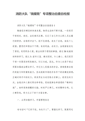 消防大队“微腐败”专项整治自查自检报告3篇.docx