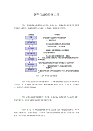 新华信战略咨询工具.docx