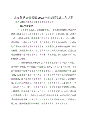 某支行党支部书记2023-2024年度基层党建工作述职总结报告.docx