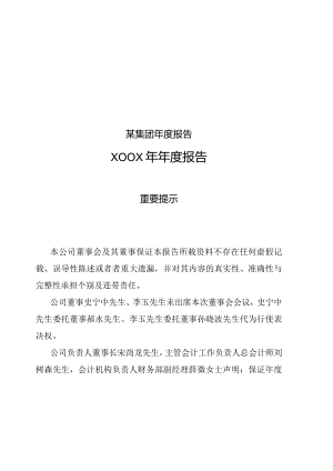 某集团年度报告.docx