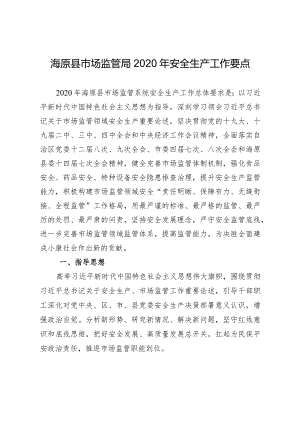 海原县市场监管局2020年安全生产工作要点.docx