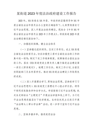 某街道2023年度法治政府建设工作报告.docx