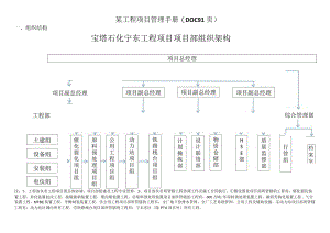 某工程项目管理手册(DOC91页).docx