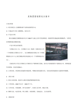 某集团营销策划方案书.docx