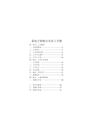 某电子控股公司员工手册.docx