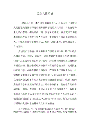 爱弥儿读后感.docx