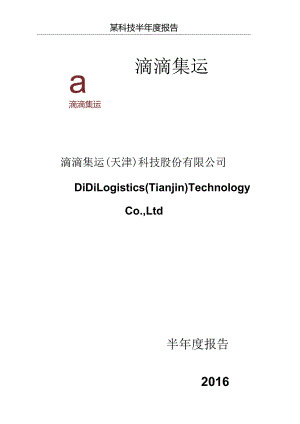 某科技半年度报告.docx