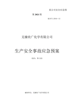 某公司安全应急预案2021版.docx