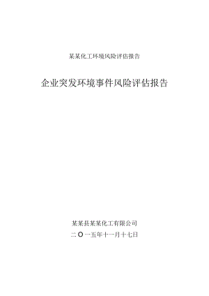 某某化工环境风险评估报告.docx