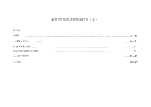 某市XX经典营销策划报告（上）.docx