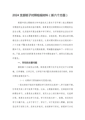 支部班子2023-2024年度新六个方面班子对照检视材料.docx