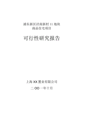 浦东新区泾南新村Ⅱ地块可行性研究报告.docx