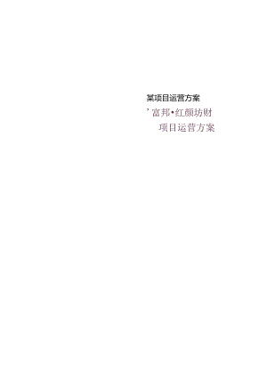 某项目运营方案.docx