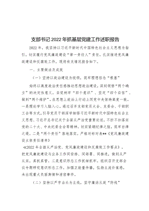 支部书记2022年抓基层党建工作述职报告0.docx
