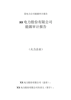某电力公司能源审计报告.docx