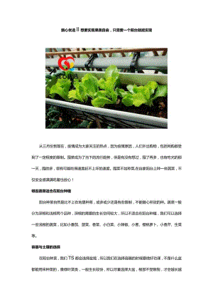 甄心优选‖想要实现果蔬自由只需要一个阳台就能实现.docx