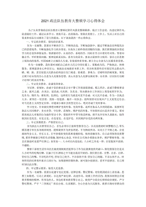 政法队伍教育大整顿学习心得体会.docx