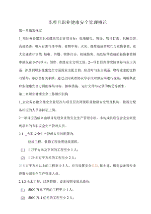 某项目职业健康安全管理概论.docx