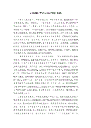 支部组织生活会点评集合6篇.docx