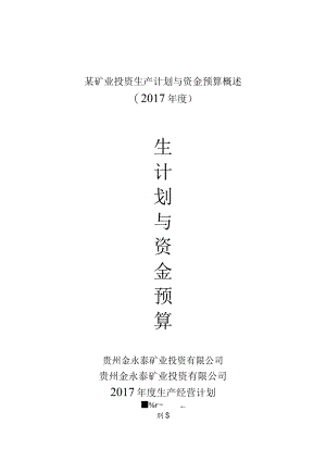 某矿业投资生产计划与资金预算概述.docx