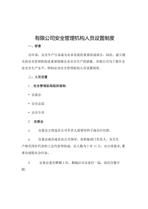 有限公司安全管理机构人员设置制度.docx