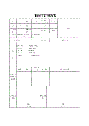 村干部履历表.docx