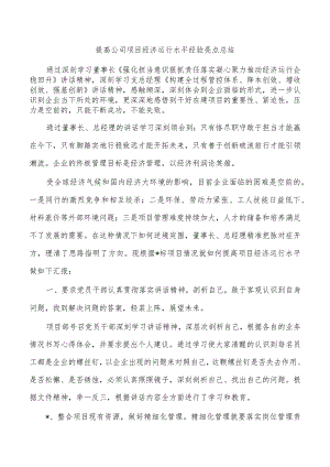 提高公司项目经济运行水平经验亮点总结.docx
