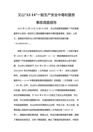 文山“12·14”一般生产安全中毒和窒息事故调查报告.docx