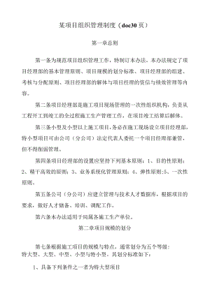 某项目组织管理制度(doc30页).docx