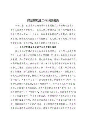 支部书记抓基层党建工作述职报告精2篇.docx