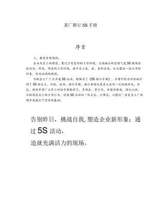 某厂推行5S手册.docx