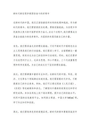 新时代新征程争做团结奋斗的好青年2000字.docx