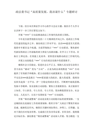 政法委书记“高质量发展我该谋什么”专题研讨发言(2篇).docx