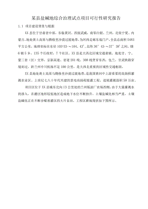 某县盐碱地综合治理试点项目可行性研究报告.docx