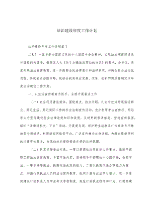 法治建设年度工作计划.docx