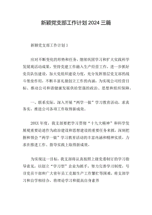 新颖党支部工作计划2024三篇.docx