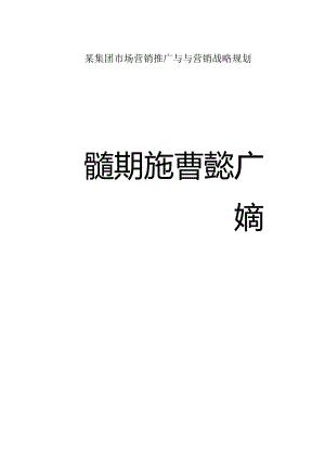 某集团市场营销推广与与营销战略规划.docx