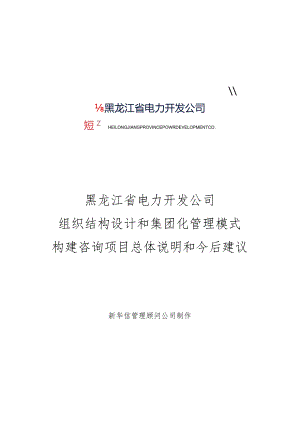 某公司组织结构设计和管理模式构建说明.docx