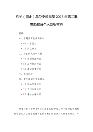 机关（国企）单位支部党员2023年第二批主题教育个人剖析材料.docx