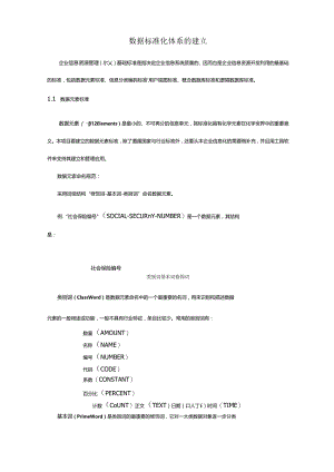 数据标准化体系的建立.docx