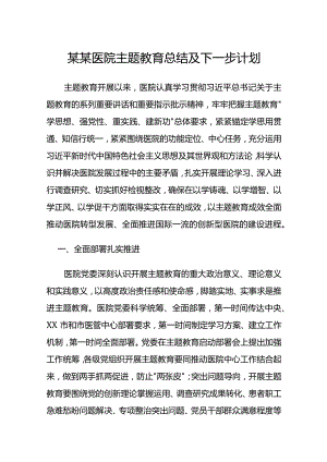 某某医院主题教育总结及下一步计划.docx