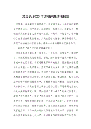 某县长2023年述职述廉述法报告.docx