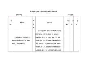 湖南省城乡居民大病保险承办服务年度考核表.docx