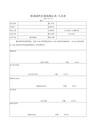 桩基终孔现场确认表入岩表.docx