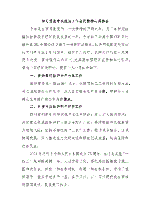 村镇党委书记学习贯彻中央经济工作会议精神心得体会合计3份.docx