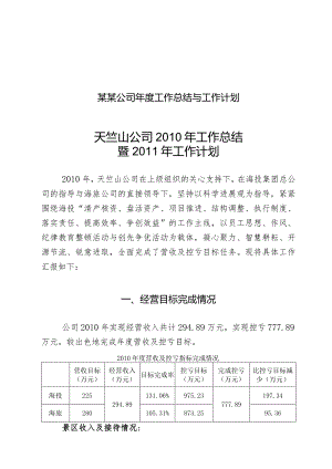 某某公司年度工作总结与工作计划.docx