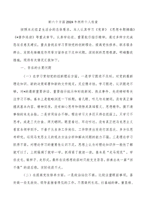 新六个方面2024年剖析个人检查.docx