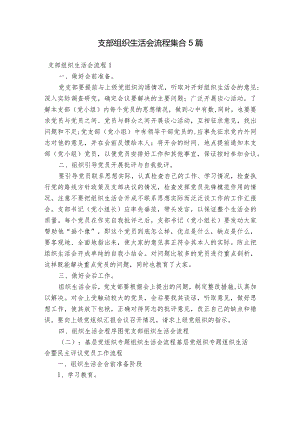 支部组织生活会流程集合5篇.docx